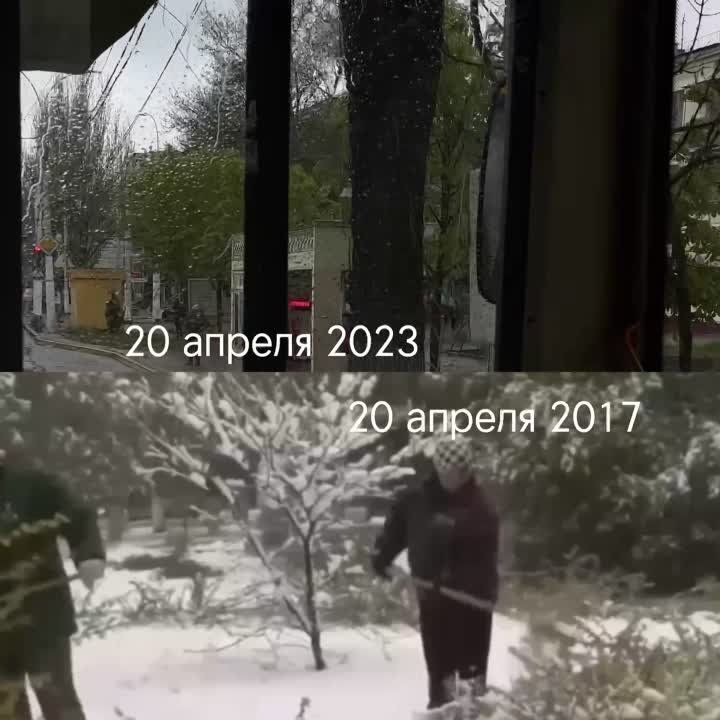 ���� �������, ��� ����� ��������� ���� ������ � ��� ��������, �� 2017-� ����������: ����� ���� ��� ����