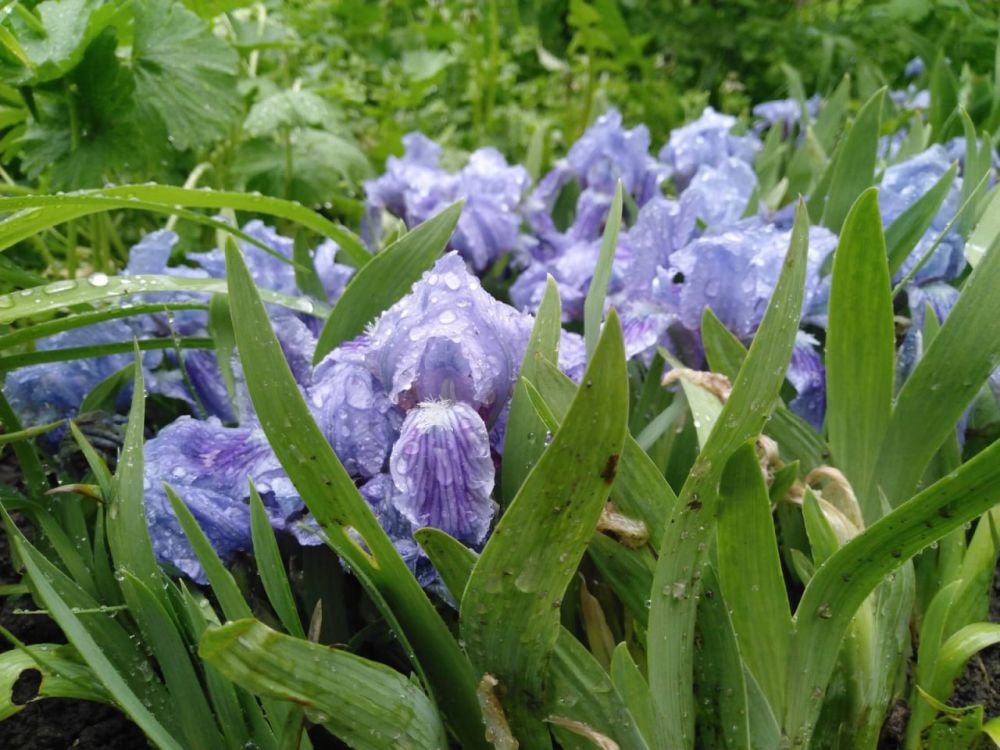 21 ������ ��������� �������� ������, ������� ��������������� �����