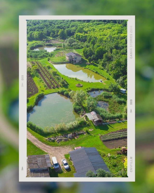 �������� ������. �������������