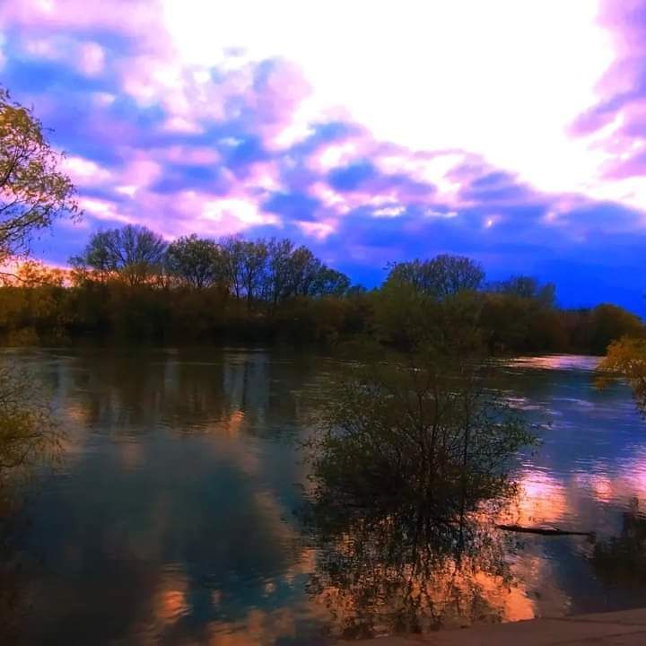 ����� �� �������.. ���� ������� ���������