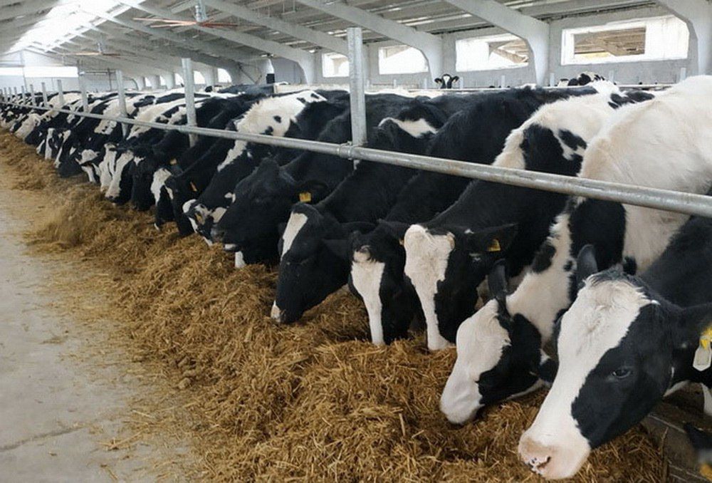 �������� ��������� �������������� � �������������