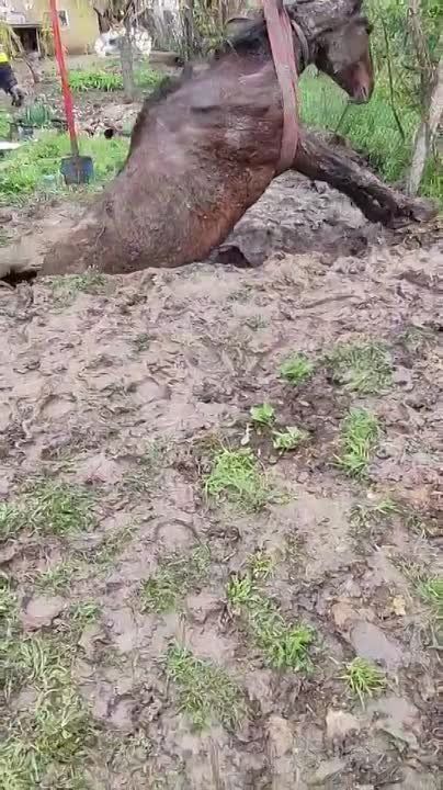 ������ ����������� � ��������������� ��� � ���������� ���� �������