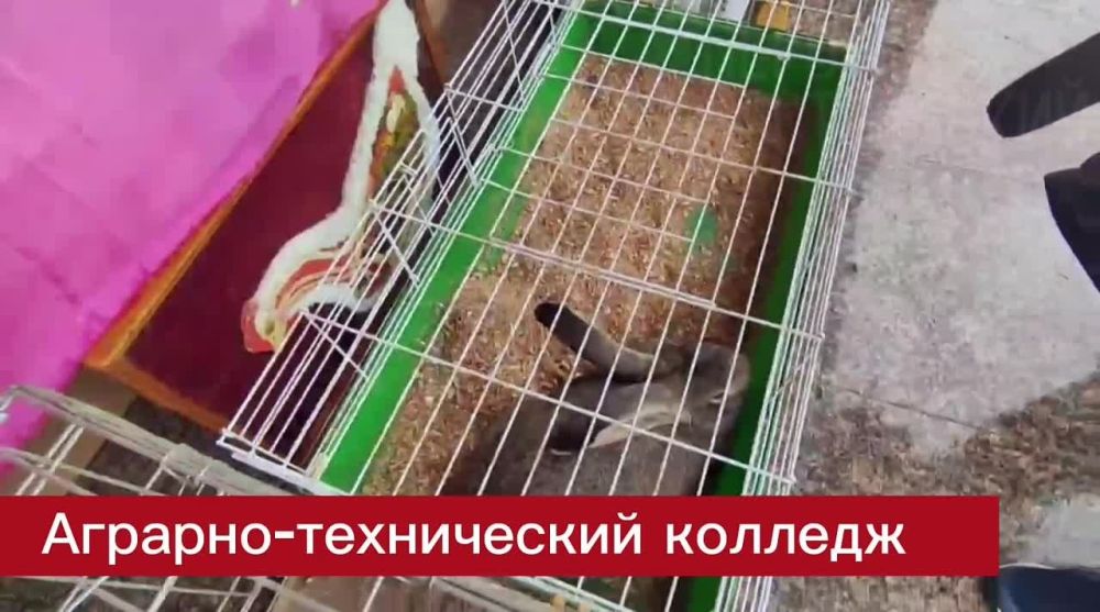 �����, �����, �����. �� ������ ���� ��������� ���� ��. ������ � ���� ������ ���������� �������� �����������. ��������� ��������� ���� � ���� �������������, ����������, �������, ��������� � �� ������