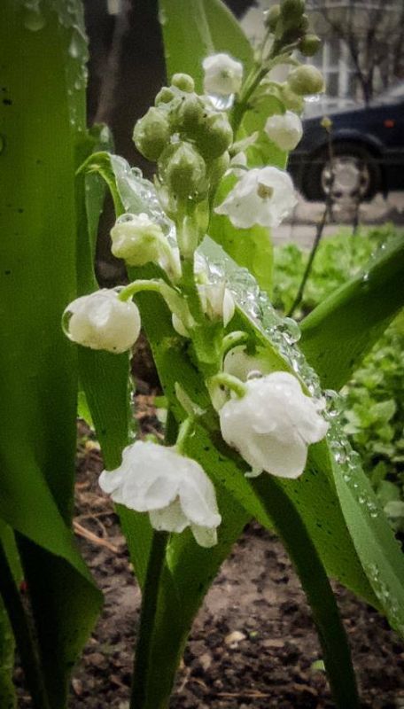 ��������� �������. ������ ����� ���, � ��� ��� � ���� �����