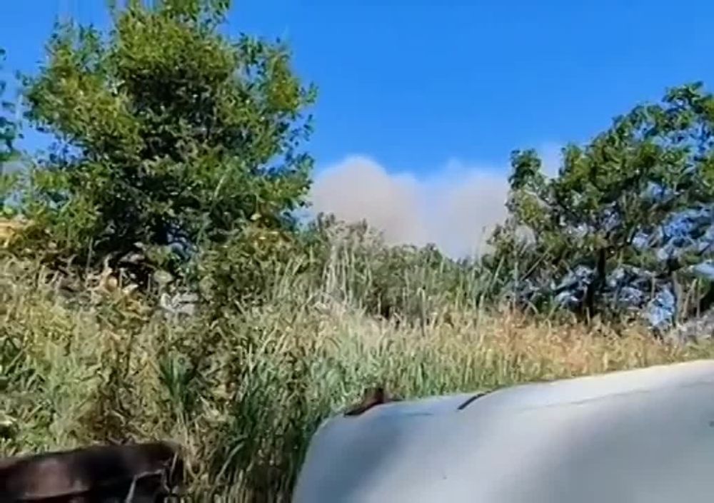 ���������� ������ ���. ���������� �������������� �������� �� ���������� ��� � �������� �����