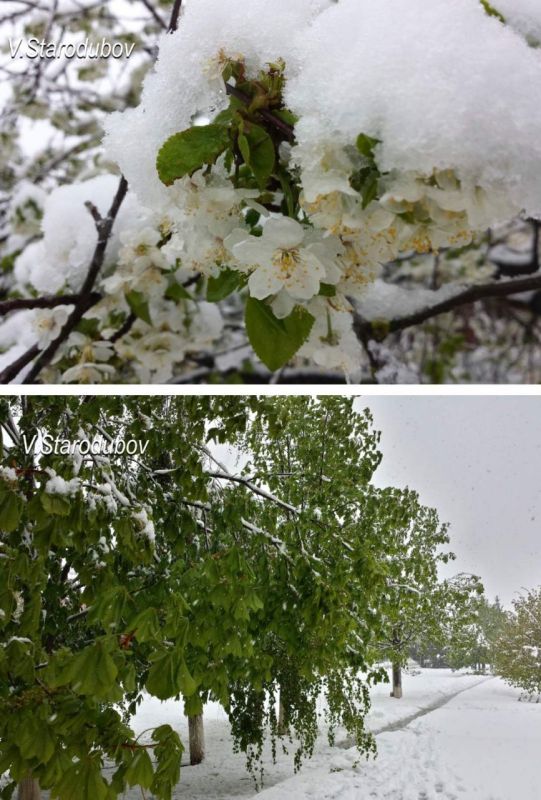 ��� �� �������� �������� �����? � ��� ��� ���� � ��� 20 ������ 2017 ����!