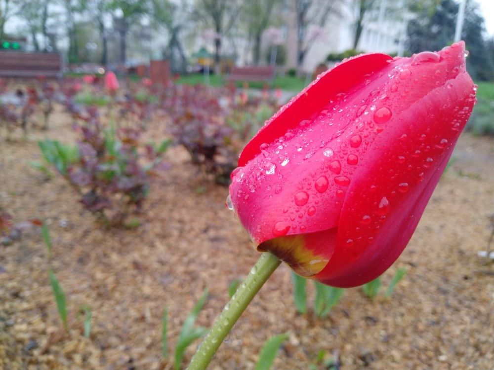 ������� �� ������ � 22 �� 25 ������