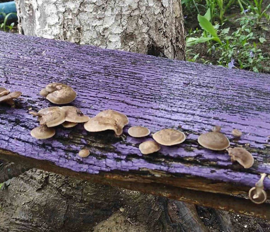 � ������������� ��������� ������������� ������, ��� ����� ������ ���� �� ������� ���������