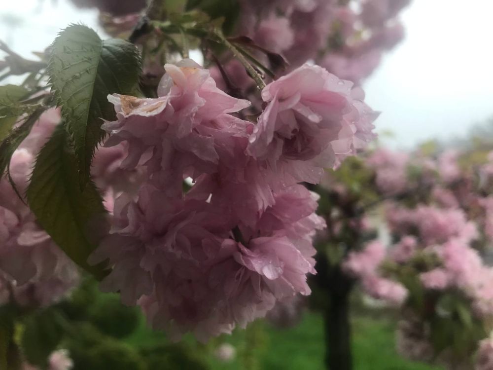 22 ������ ��������� �������� � ������������ ������, ������� ��������������� �����