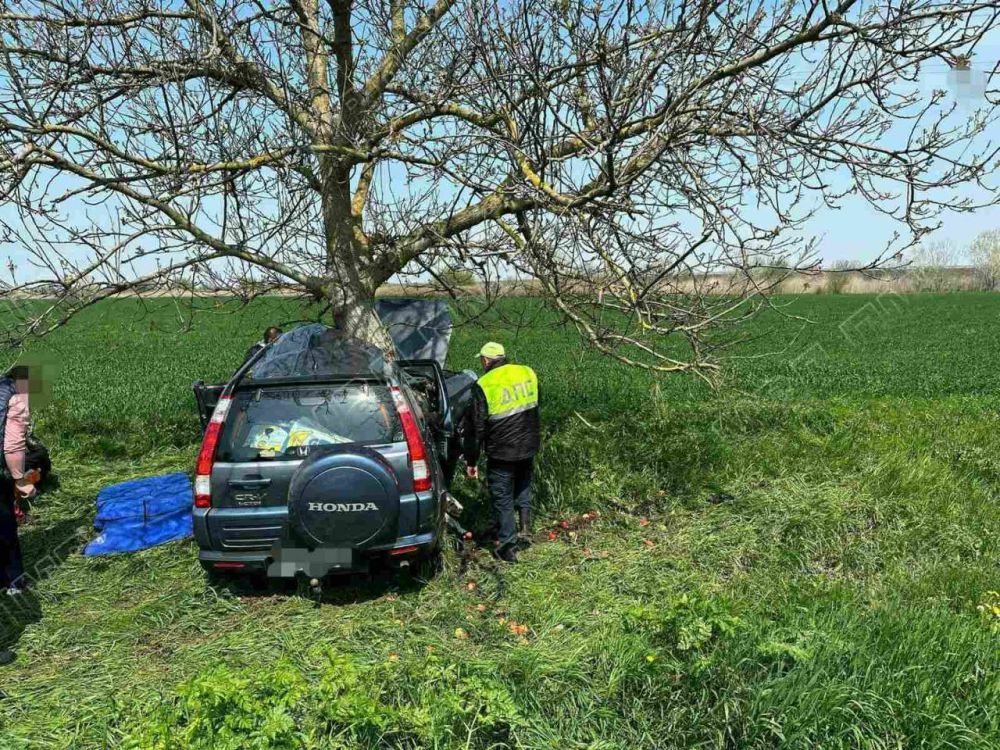 ��� ����� ������ ������ � �������