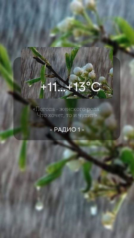 22 ������ ��������� �������� � ������������ ������, ������� ��������������� �����