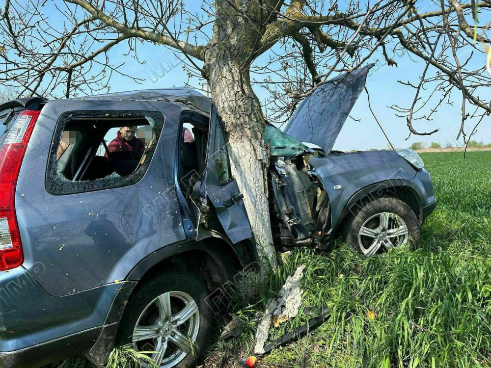 ����������� ������ �� �����-������ ���: