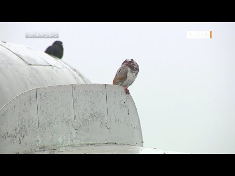 ����� ����� ��� ����� ������ �����, ������ ��� � ������� ����� ��� ���. ��� ����� ��������. ����� � ��� ������ �� ����. ���...