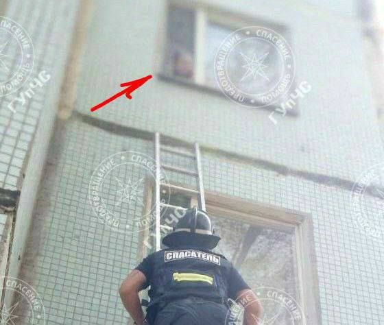 � �������� ������� ����� ���� ����� ����� ������� � �������� �����