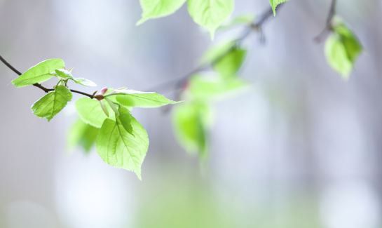 �� �� ������������ ����� � ��������..