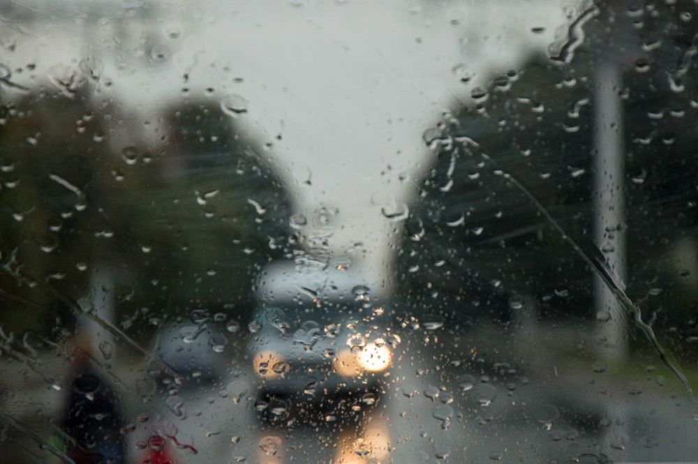 ������������� ��������������