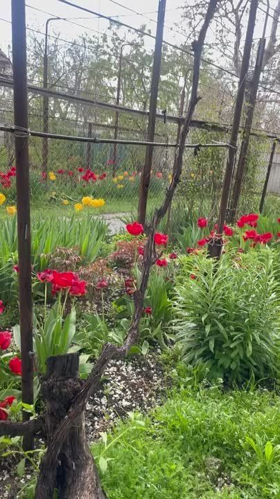 � ��������� �������� ����