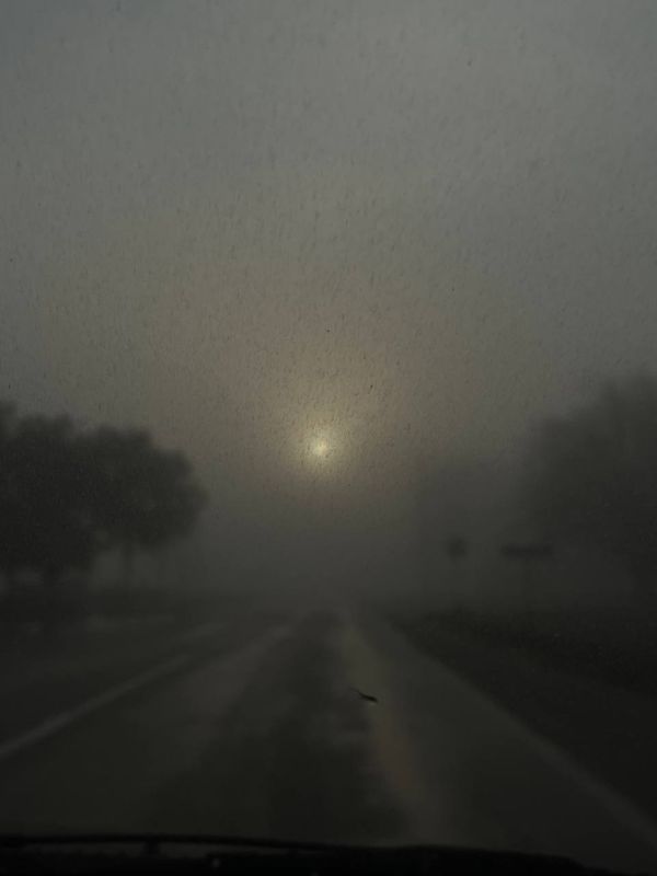 ������������� �������������: ������ ����� ����� �������