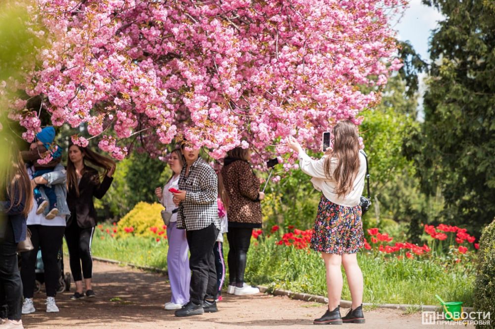 �������� ������������������ � ������ ��� �����