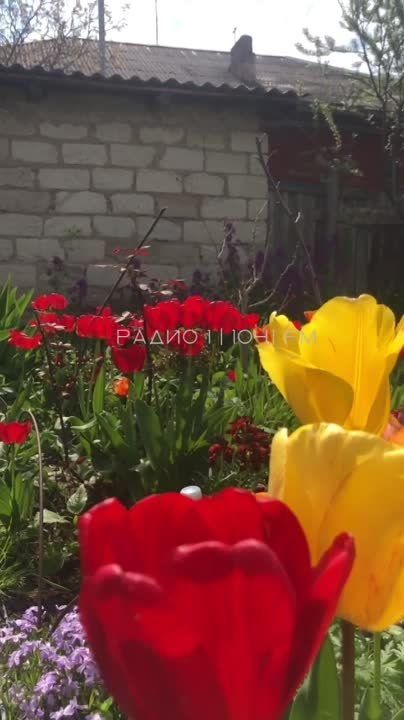 � ������������� �����!. ��� ������ � ������!