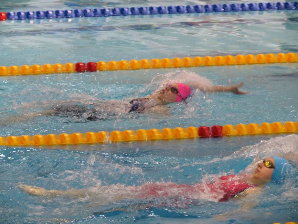 ��� ������������ ��������� ������ �������� �������� �� ����������� ��������� ����������� ���������, ������� ������� � �������� (��������) ���� �����