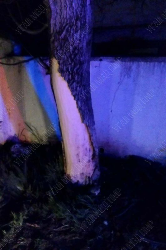 ������� ����� ���, ��������� � ���������������