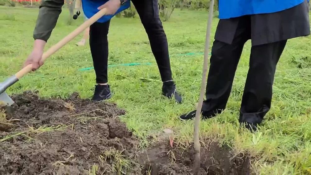 ���� ������ �������� � ������������ ���� ���������������� ���������������