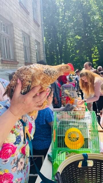 �������� ��������� ��� �� ������� ������ ���������� �� �������� �������� ��������