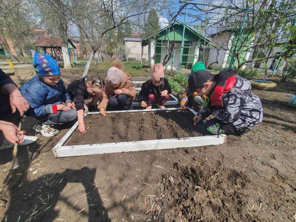 ���������� ������� ��� N24 - ��� ���� �������� ���������������� �������� �� ������ ���������� ���������������� ����������