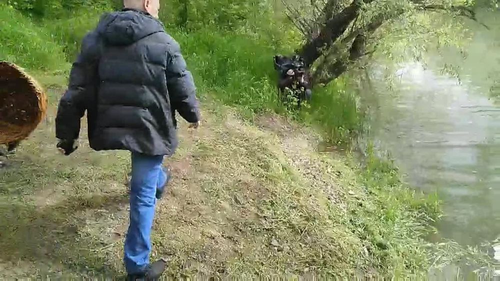 ������ �������� ����������