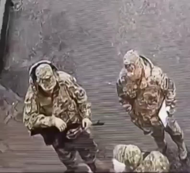 ����� ����������� � ���������