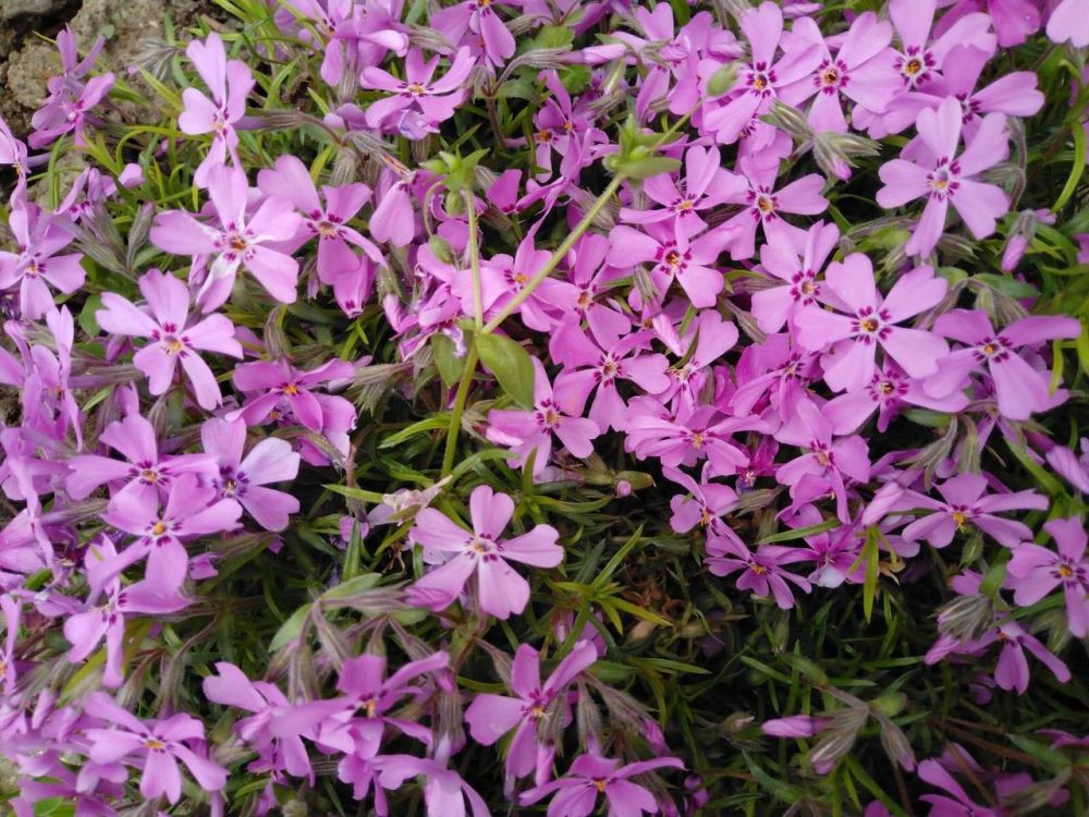 �������� ����� ������: �� ��������� ����������� �� �������� ��������