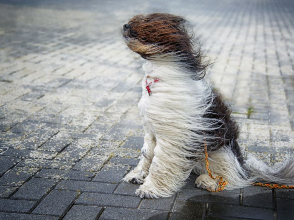 ��������� ��������������!