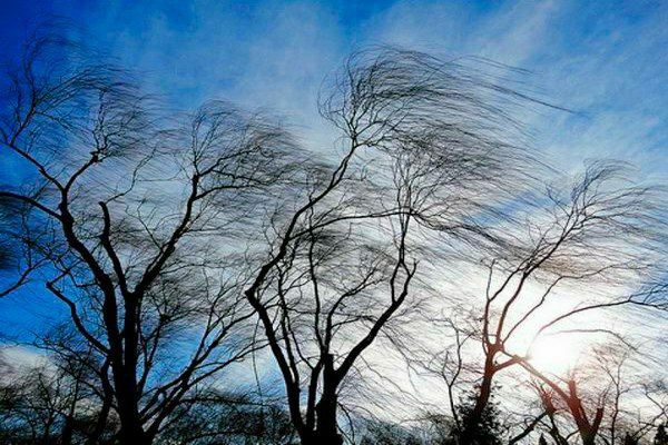 ��������: ������� �����