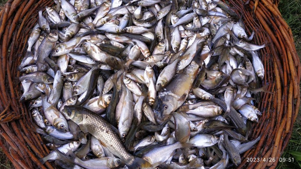 1,5 ����� �������� ������ �����, �����, ������ � �������� ������������� ��������� � ������� ��������, �������� �����������������