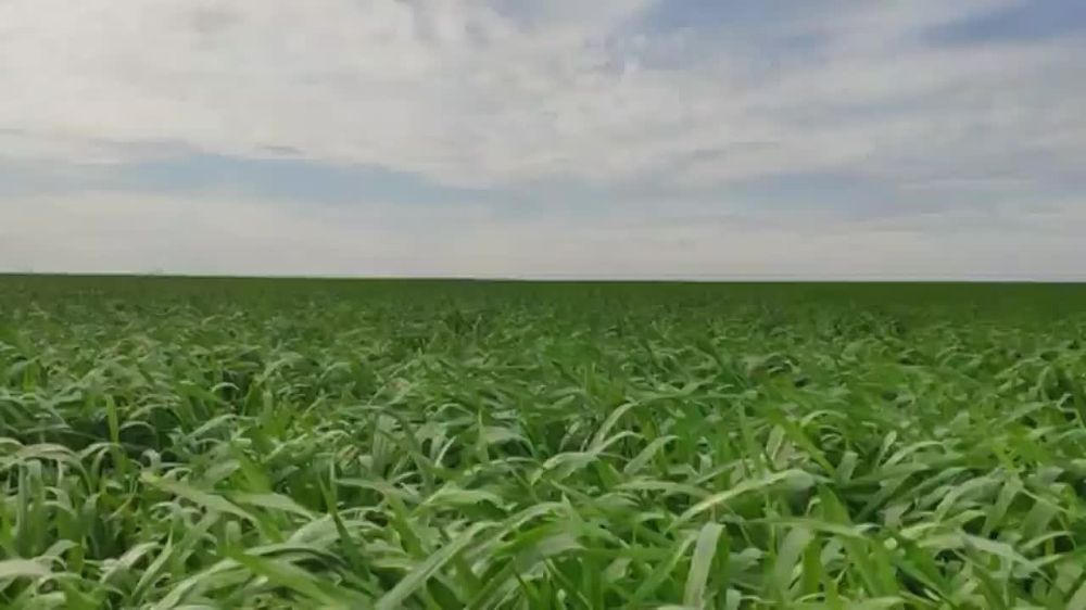 ���������� ���� �������������� ������