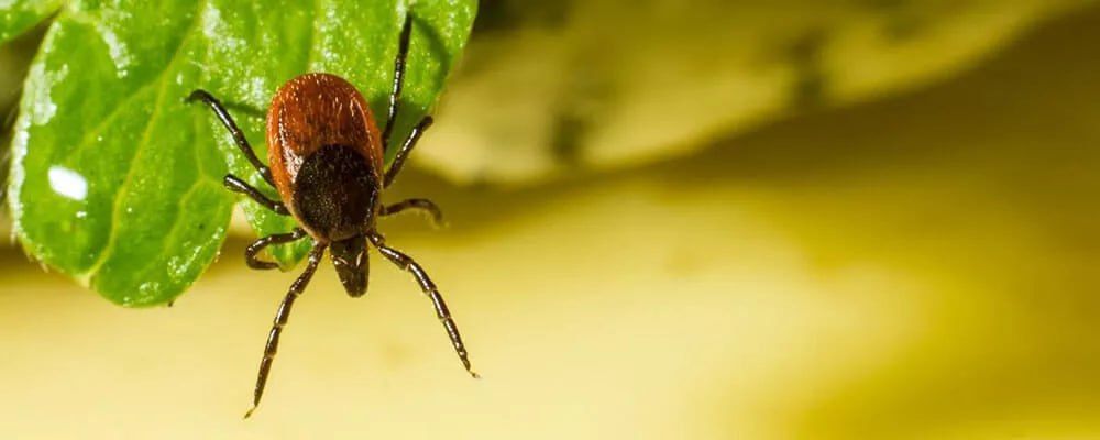 � ������������� ������������� ������ ������ ������ ������