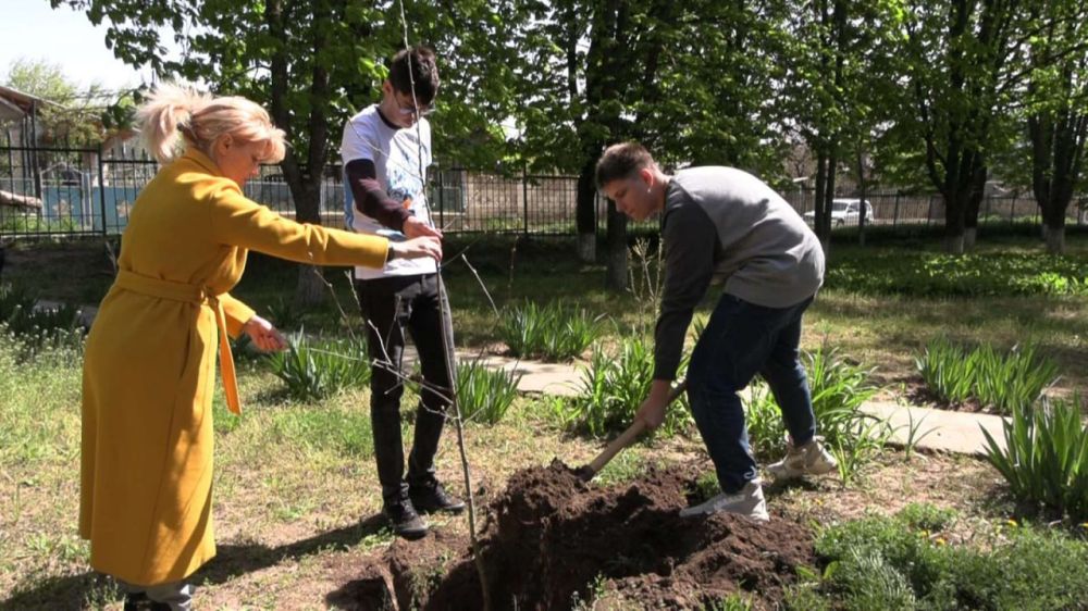 � ���������� � ����� ���� ������