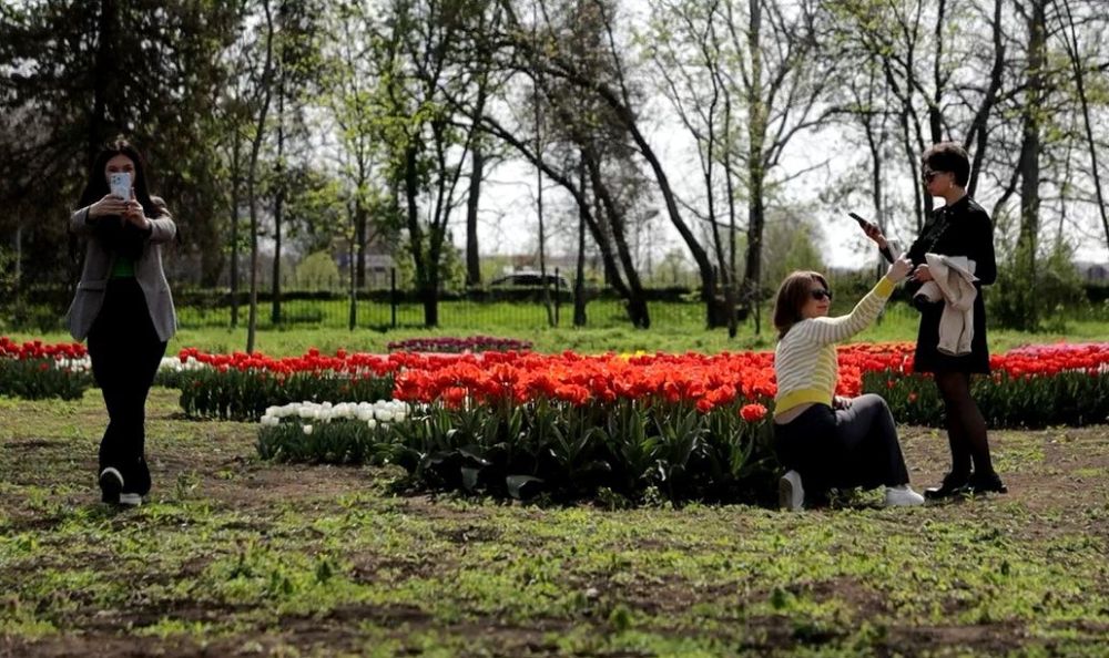 ������� ������� ����� �������� ���������