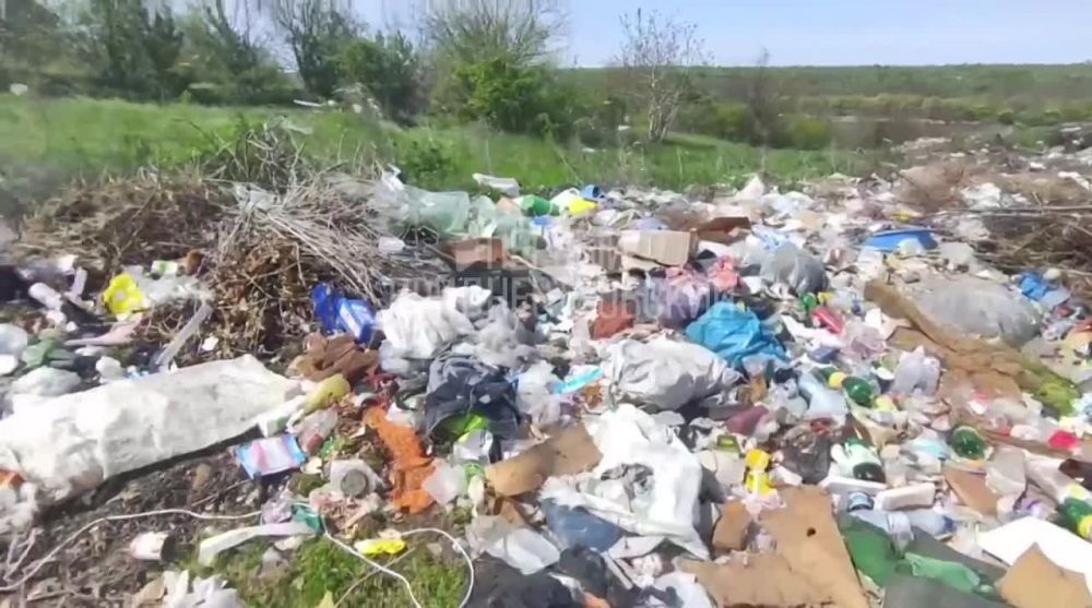 ��� ���� �� ����� �������� ���� �������������