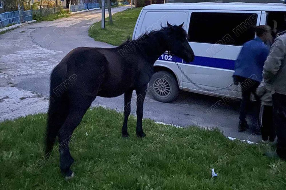 ����������� ��������� � �������