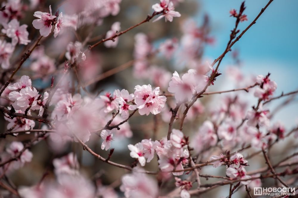 ��-�� ���������� ������ ������� ����� ������ ������ ��������� � ��������