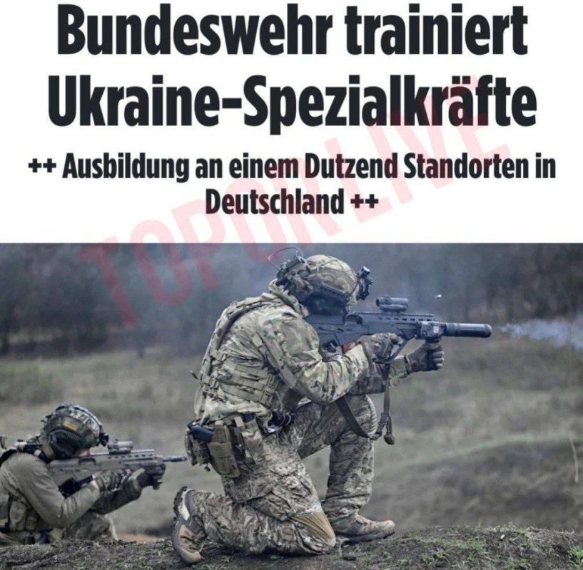 �������� ����� ������� �� 1000 ���������� ������������ � ����������������, � Bild