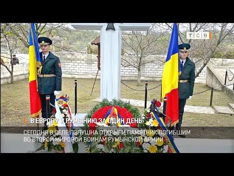 ���������� ��������� ���������� ������������ ������ � ��������, ���������� �� 21 ���, ��� ����, ����� �������������...