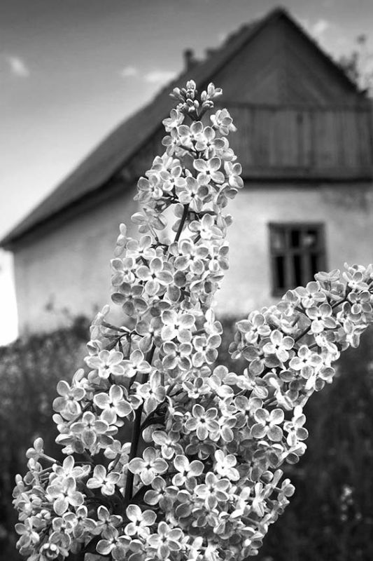 ���������� ������������� ��������, ���������������� ���������, �� ��� ��� � ������������� ������������ �����