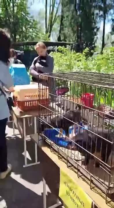 � ��������� � ��������� ���������� �� ������� ������ ���������� �������� �������� ��������