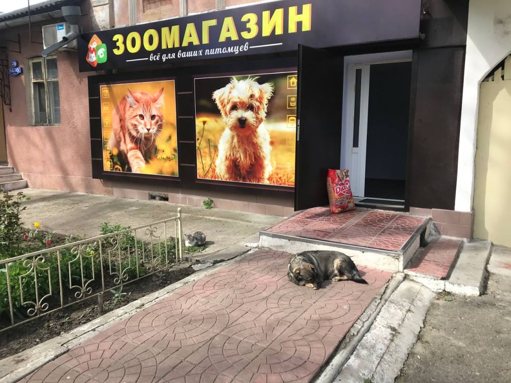 �������, ����� ������� �������� � �� ����������