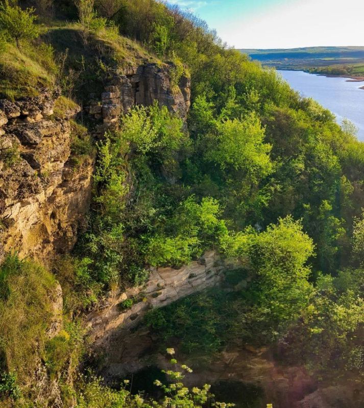 ������������ �����. �����. ����� ����� �������: �������� ����!�