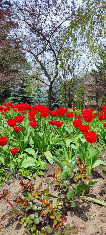 #�����������������������������