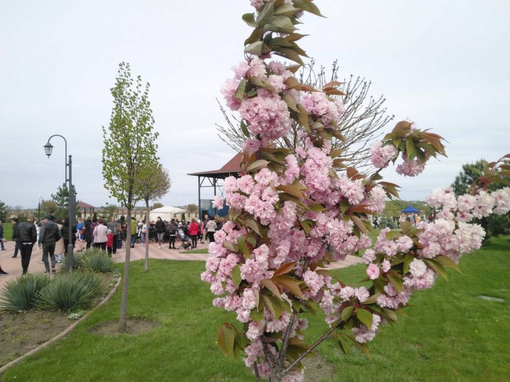 � ����� ���������� �������� ������ ������� ������